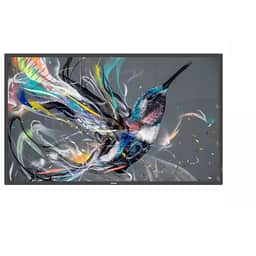 Philips 43BDL3650Q/00 43″ 4K 400-Nit Android SoC Display