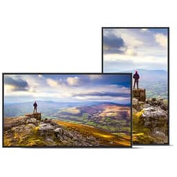 Sharp PN-E759 75-Inch Display Monitor