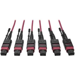 MTP/MPO Multimode Base-8 Trunk Cable, 24-Strand, 40GB/100GB