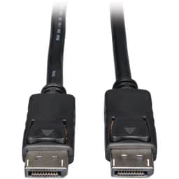 DisplayPort Cable with Latches (M/M) 30′