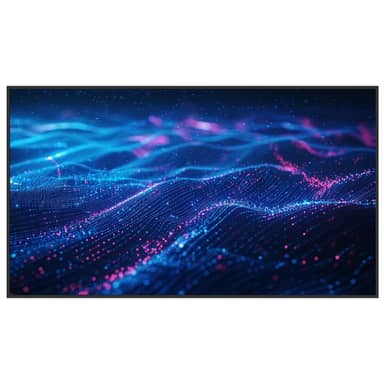 65" Commercial Non-Interactive Display