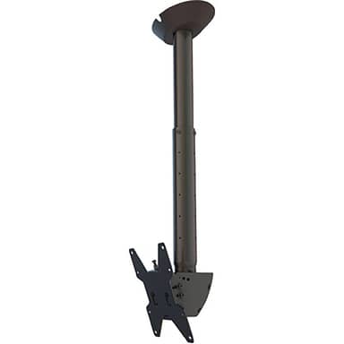 Mustang Pro Ceiling Mount Kit w/ MPCM22V CA1C; MPEA23