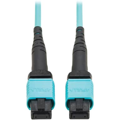 100G Multimode 50/125 OM4 Fiber Optic Cable -9.8 ft